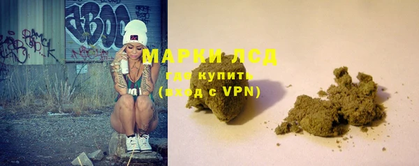 прущие грибы Киренск
