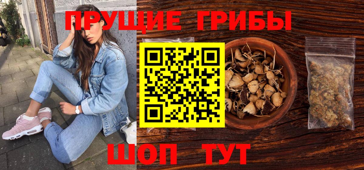 Псилоцибиновые грибы мухоморы Тверь