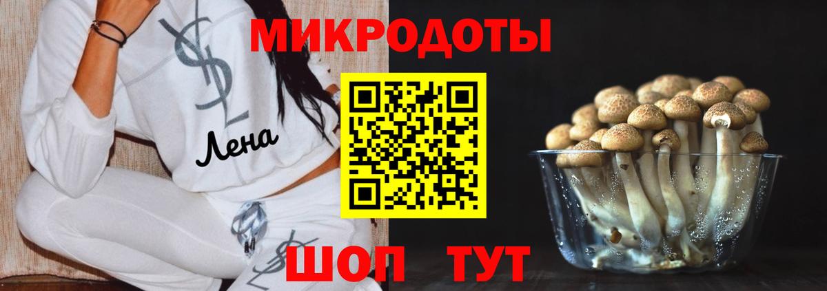 Галлюциногенные грибы прущие грибы  Вход с VPN  Псилоцибиновые грибы Psilocybe  Тверь 